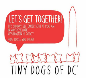 Washington, DC Dog Events - Weekend September 28, 2018